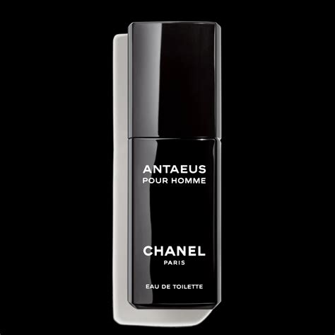 chanel antaeus 100ml price|chanel antaeus 100 ml.